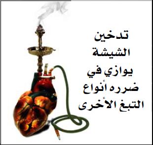 GSO 2012 Health Effects Other - shisha health risk, gross (Arabic)